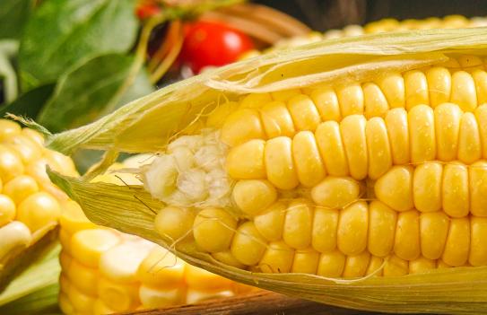 玉米是一种富含淀粉的食物,人流后不要吃辛辣刺激性的食物就可以了