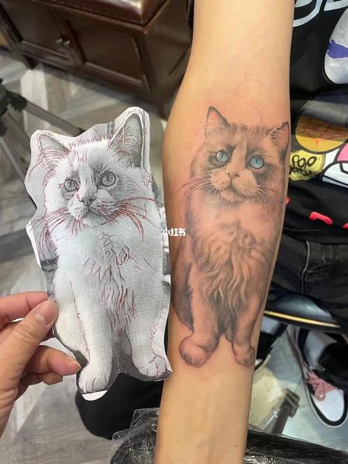 武汉纹身#布偶猫宠物纹身