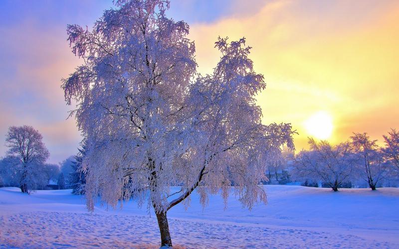 冬季唯美雪景自然风光图片桌面壁纸