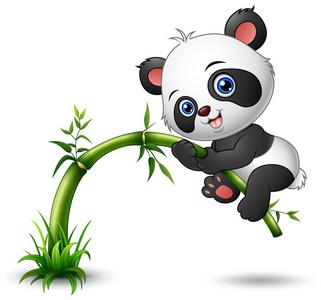 树竹可爱的小宝贝熊猫爬树竹照片