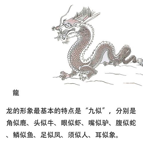2,作为华夏文明的图腾,"龙"的传说都有哪些?