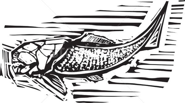 商业照片: 化石 ·鱼· 风格 · 图像 ·古·海