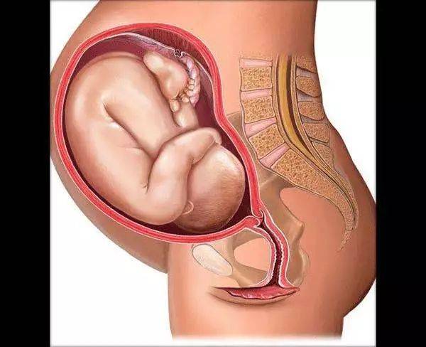 孕28周是胎儿发育的关键时期,为啥说孕28周是宝宝的一道坎