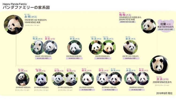 world)"从1994年开始与我国共同推进大熊猫的繁殖学术研究