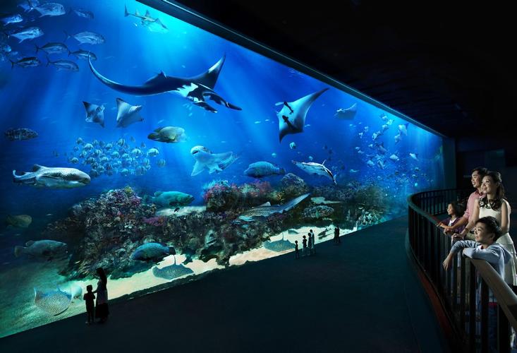 新加坡海洋生物园