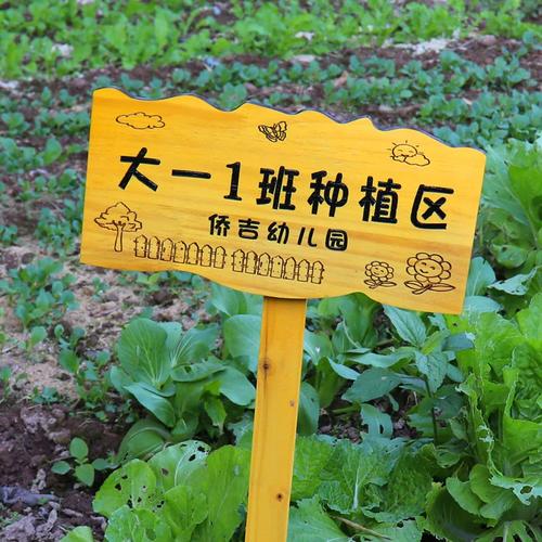学校菜园插地牌户外花草菜地标识牌实木幼儿园种植区指示牌定制