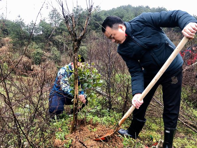 "珍爱绿色,珍爱我们共有的家园"——咸宁联太公司举办3.12植树节活动