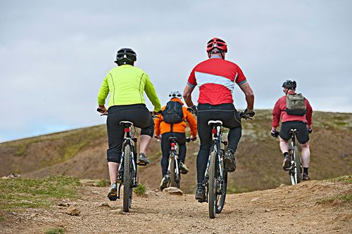 后视图,四个,山地车手,骑自行车,山谷,西南,冰岛