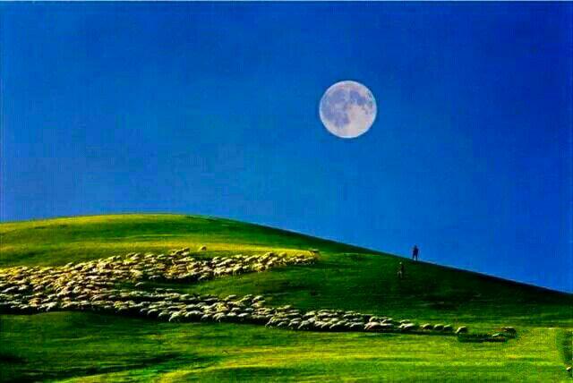 草原上的月亮