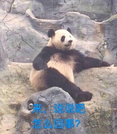 浠墨的相册-大熊猫表情包