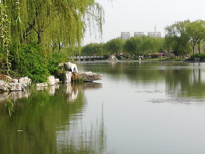 潍坊浞河 景色宜人