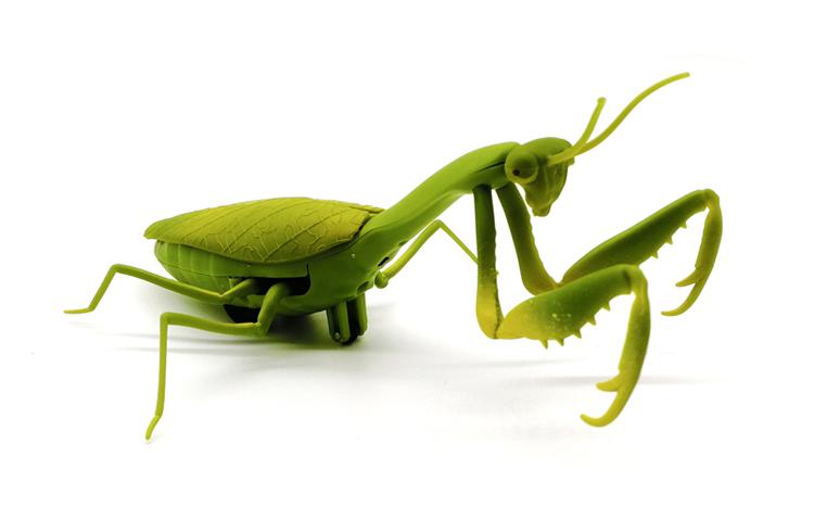 遥控螳螂玩具创意仿真动物昆虫新奇会动男孩恶搞整蛊仿真活物昆虫吓人