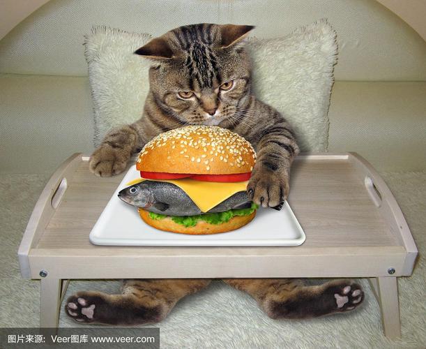 猫在床上吃新鲜的鱼汉堡