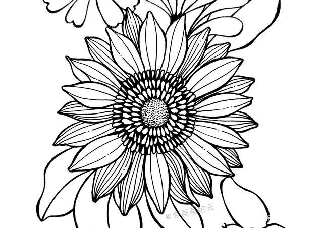 最常见的工具画出好看的花朵,零基础也可以画的简笔画,喜欢吗?