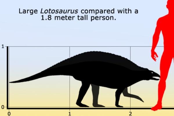 芙蓉龙史前伪鳄类爬行动物长3米长有硕大背脊