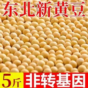 2023非转基因新黄豆农家自种大豆生豆芽打豆浆专用豆子所 在 地:辽宁