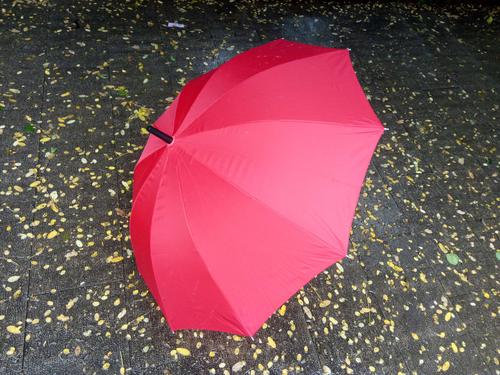 其它 红雨伞的等待撑一把红雨伞, 在雨中等待…… 风里落花谁是主?