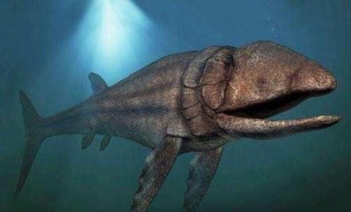 泥盆纪最凶猛的掠食者爪齿鱼巨大尖牙刺穿恐鱼
