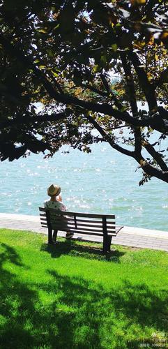 她静静坐在湖边的连椅上,望着她的背影,留给人们以遐想.