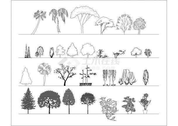 园林立面植物图例,内容包括:各方位的平面图 ,立面图和设计说明等