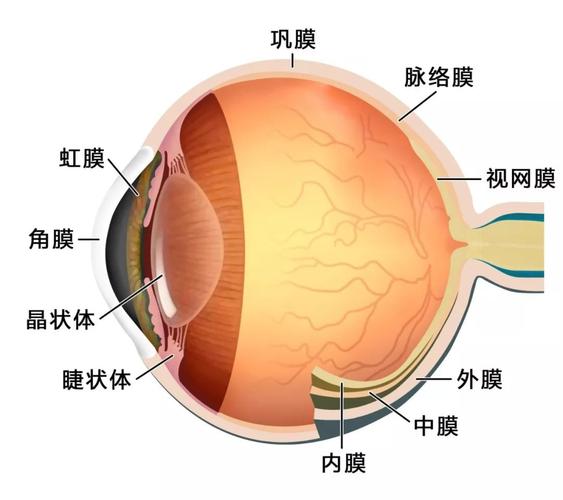寒假不是近视的理由北京眼科大专家教你一招预防近视目浴阳光