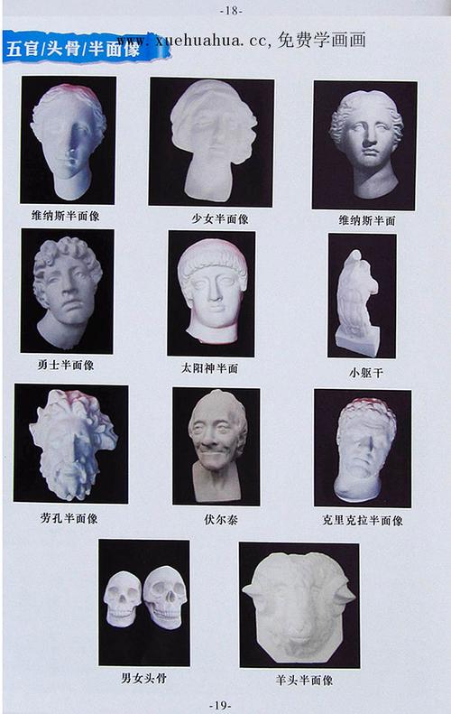 最全的石膏像名称对照图_西西美术网