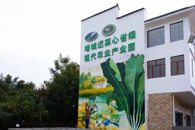 重点城市农业家底广州蔬菜100自给杭甬城乡收入差距最小