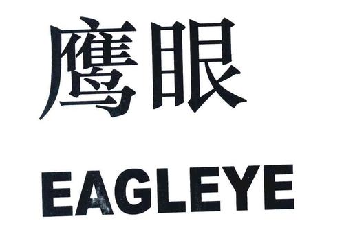  em>鹰眼 /em>  em>eagleye /em>