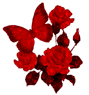 【收集】动态玫瑰花图片集锦(不定期更新)_看图_百万朵玫瑰吧_百度