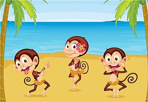 三个,猴子,海滩