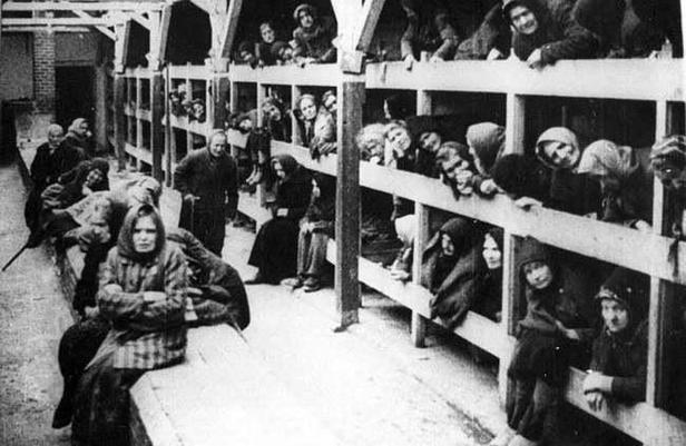 令人发指的奥斯维辛集中营在历史上的今天被苏军解放