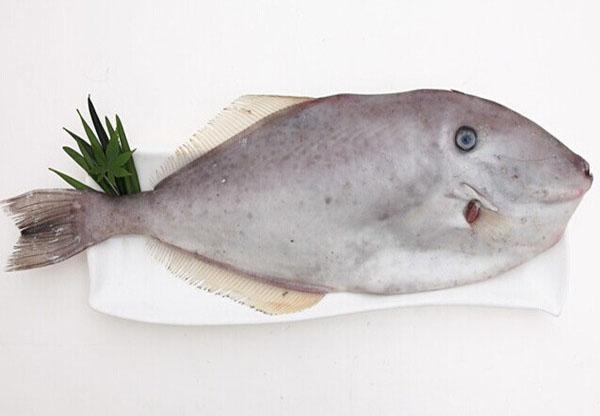 为什么市面上的马面鱼大多没头没皮?