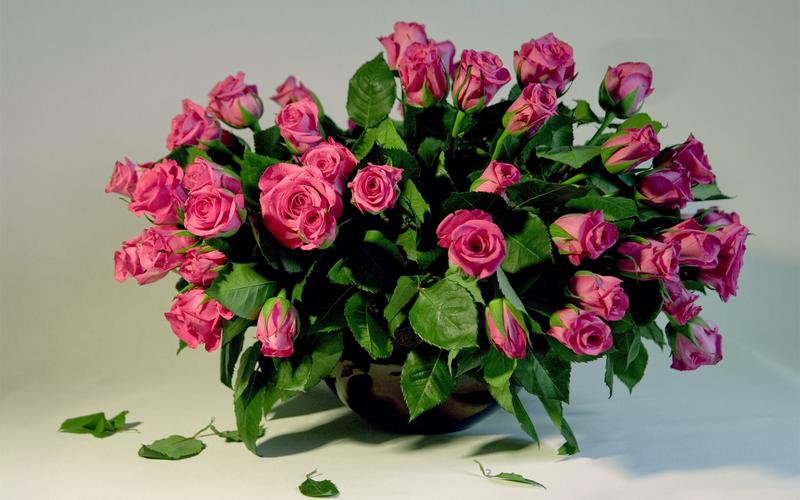 许多的粉红玫瑰花花瓶花束