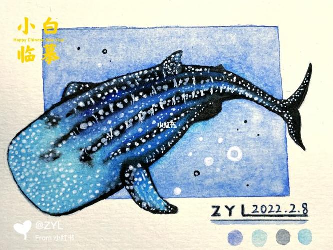 手残党的小插画鲸鲨临摹