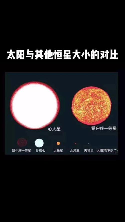 太阳与宇宙其他恒星的大小对比,太阳就像一粒灰尘,太阳的体积是地球的