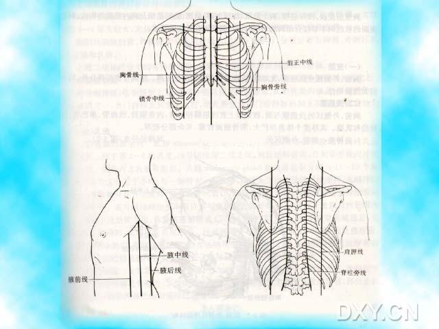 【推荐】【专题】肺叶切除术 lobectomy of lung(彩色) - 呼吸与胸部