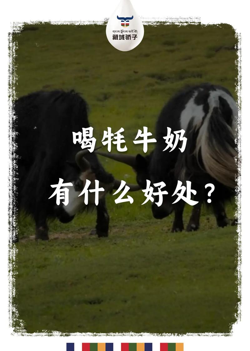 喝牦牛奶有什么好处?藏域骄子牦牛乳粉奶源来自青藏,川藏,滇 - 抖音