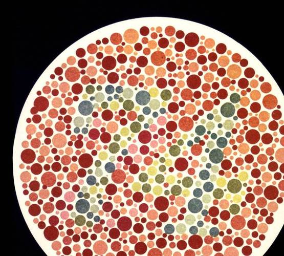 在色盲人群的比例当中,红绿色盲的人数是最多的,色盲测试卡的原理就是