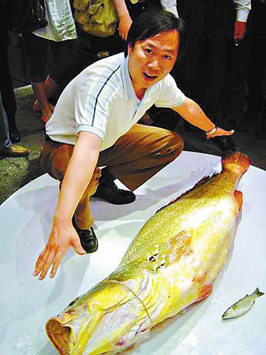 综合  "49公斤重金钱鳘鱼,卖出了58万元的天价!