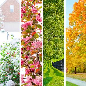 四季拼图冬天春天夏天和秋天的图片