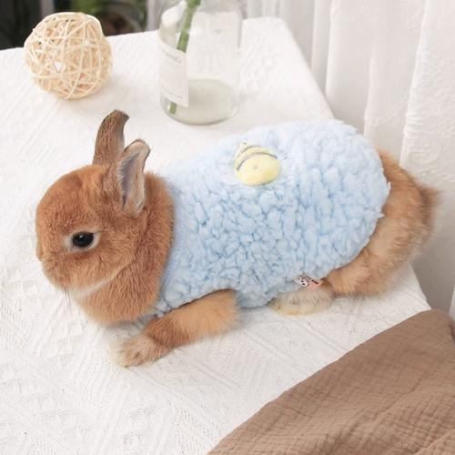 小兔子衣服侏儒兔专用奶狗幼犬垂耳兔豚鼠兔兔服饰荷兰猪宠物用品
