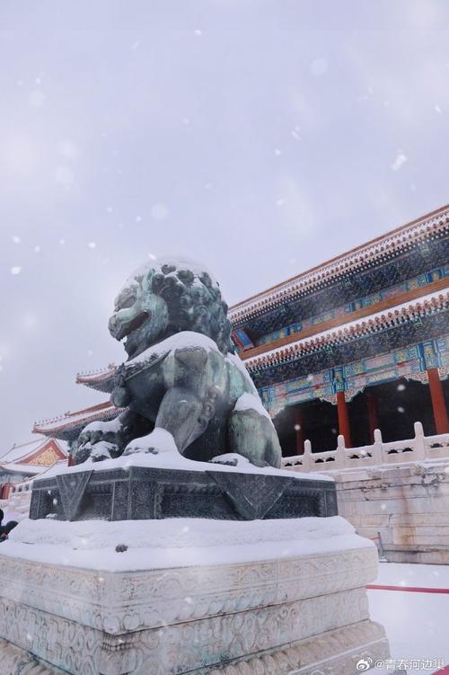 故宫的猫出来玩雪了##雪中故宫冬日氛围感拉满##天津停课
