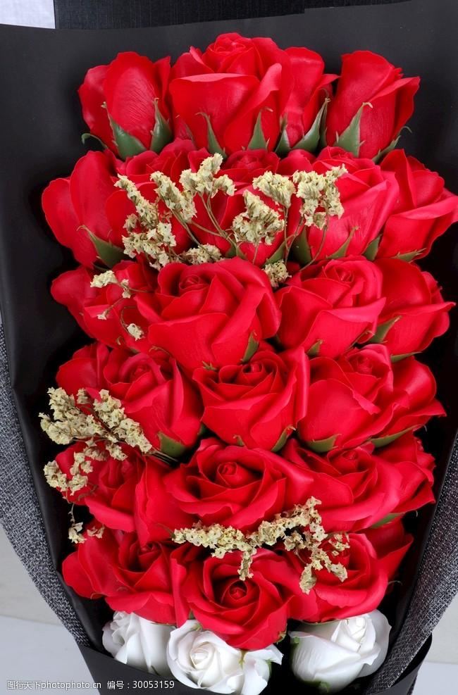 关键词:红色玫瑰花 红玫瑰 玫瑰花束 红色玫瑰 玫瑰花 玫瑰花特写