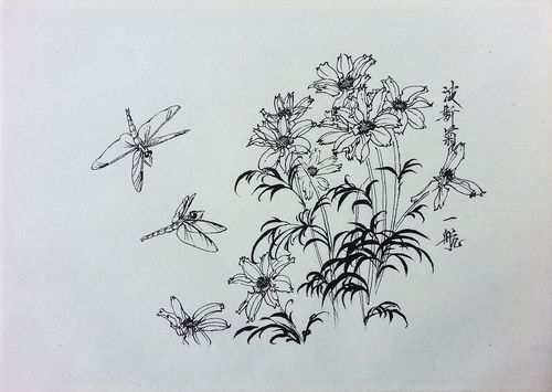 中国花鸟画-工笔白描