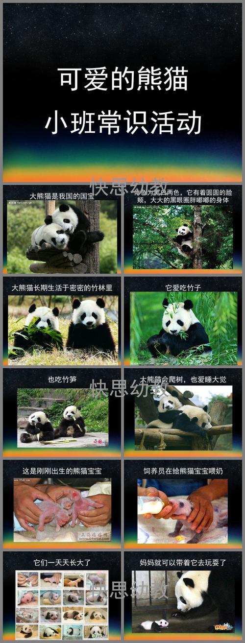 小班常识活动可爱的熊猫ppt课件教案