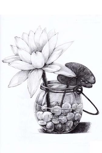 小素描花卉西瓜