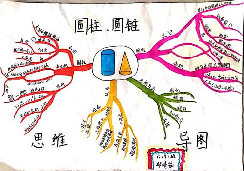 泗洪县实验小学六年级"圆柱圆锥整理与复习思维导图"评比活动纪实