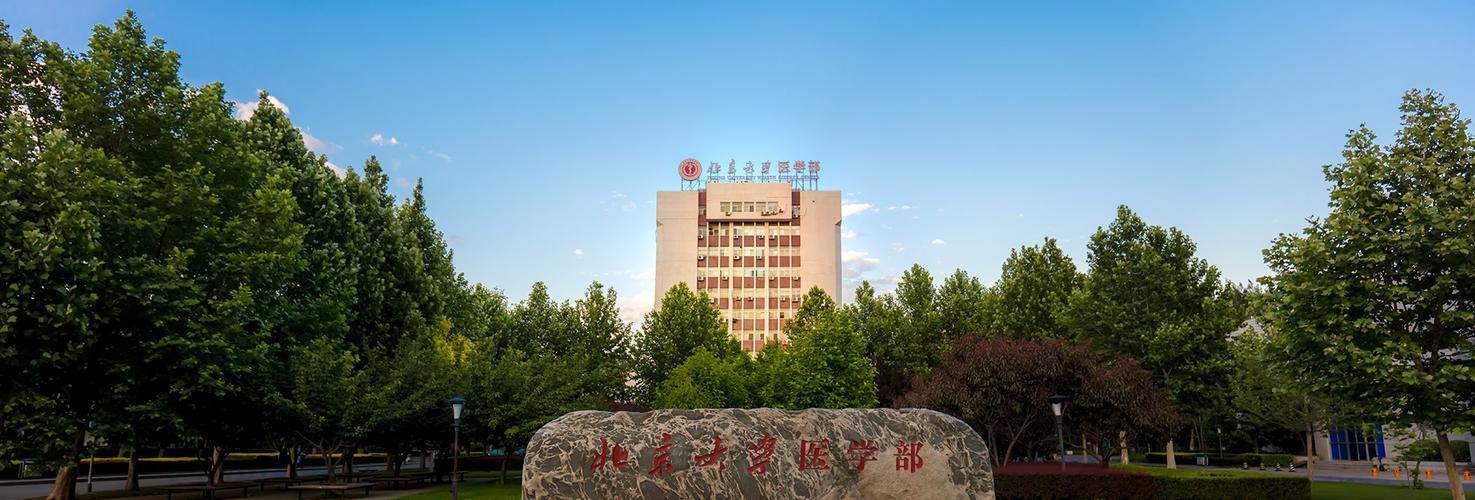 北京大学医学部医学技术研究院