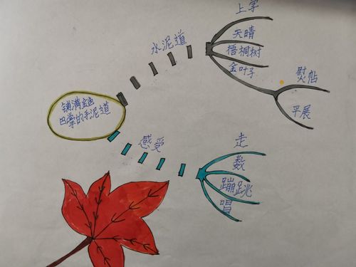 思维之导向 学习之蓝图 ————记宜川县城关小学三年级学生思维导图