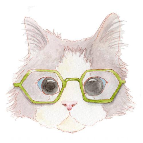 戴眼镜的猫676767noryco